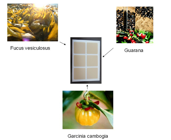 slim, slim patch, detox, slimming patch